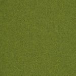 MOSS