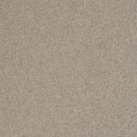 STEPPE